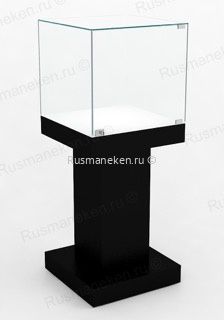 Музейная витрина  \ PM-V