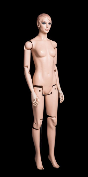 Женский шарнирный манекен \ Sharnir-FM01