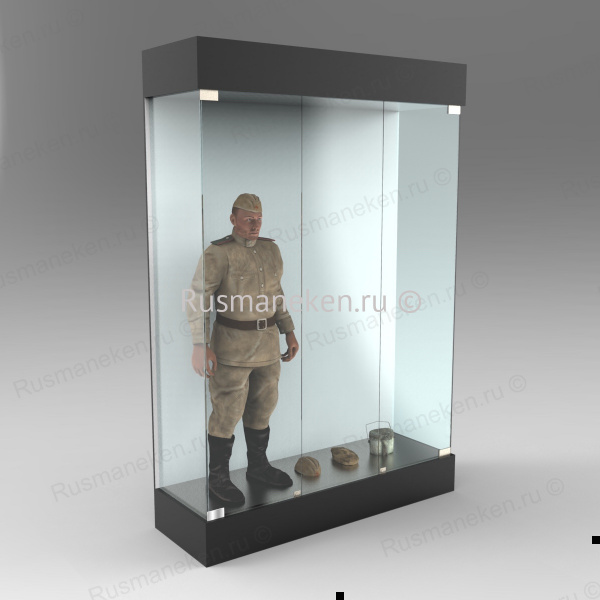 Витрина музейная \ VMM3
