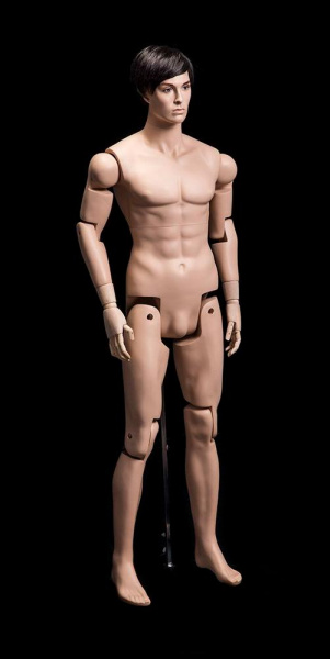 Мужской шарнирный манекен \ Sharnir-01M