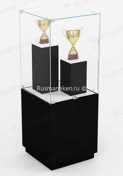 Музейная витрина \ VMP-2