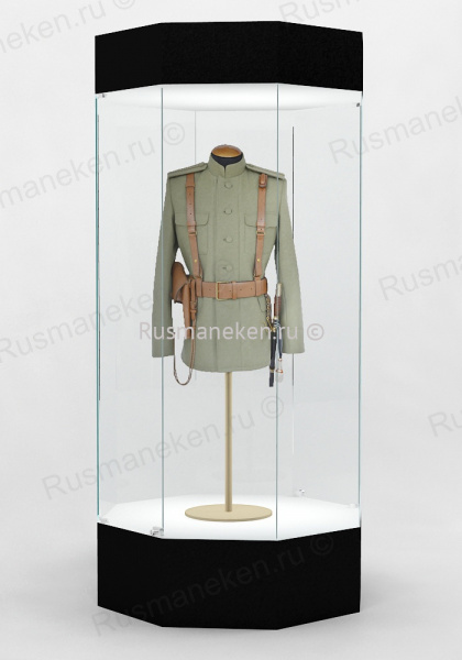 Музейная витрина  \ VM-6