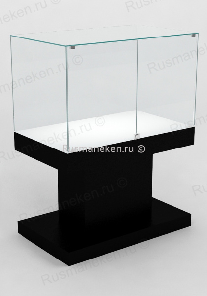 Музейная витрина  \ PM-3