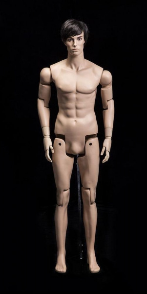 Мужской шарнирный манекен \ Sharnir-01M