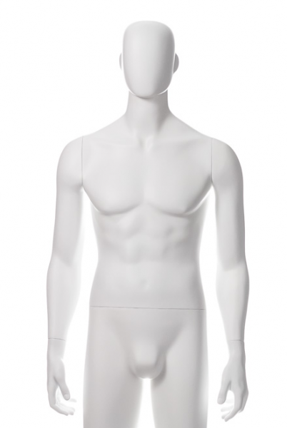 картинка Торс женский укороченный (с головой) от магазина Русманекен