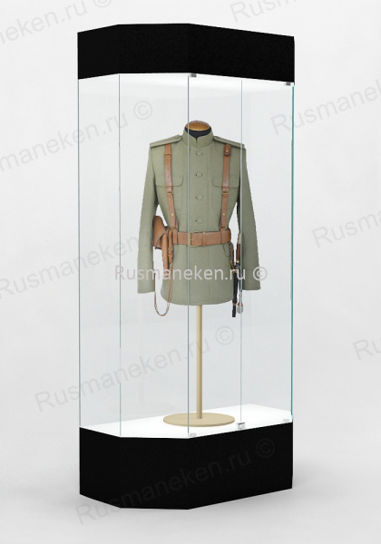 Музейная витрина  \ VM-4