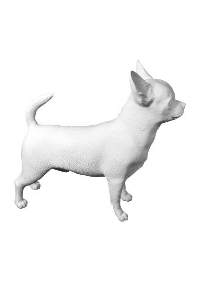 Манекен чихуахуа \ Dog-012