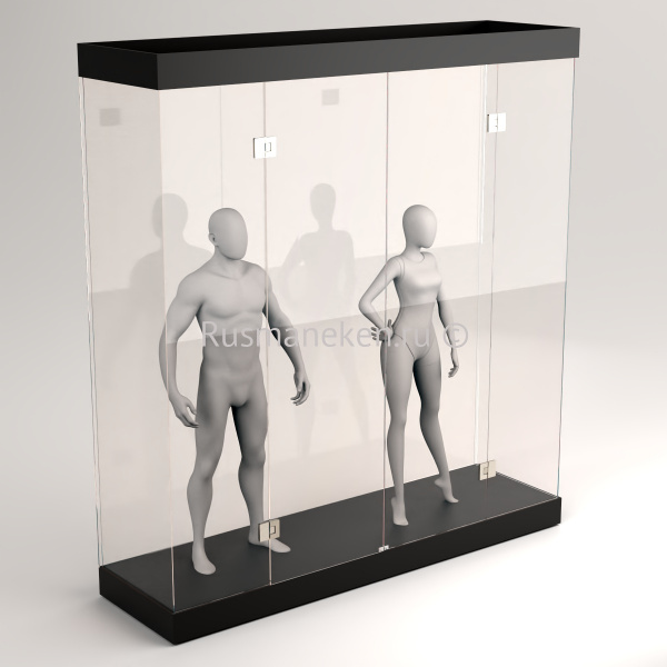 Музейная витрина \ VMZ-13 (закаленная)