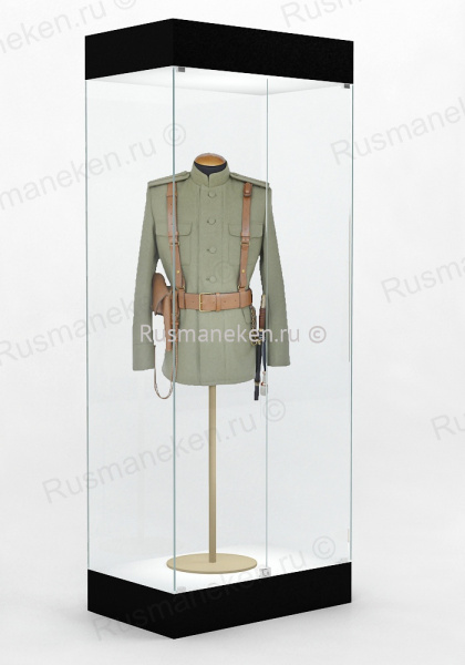 Музейная витрина  \ VM-2