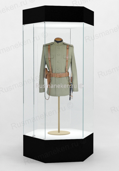 Музейная витрина  \ VM-6